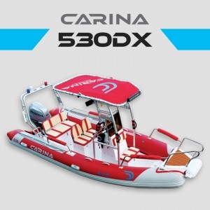 CARINA-530DX